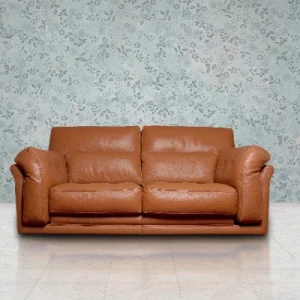 sofa with leather upholstery
